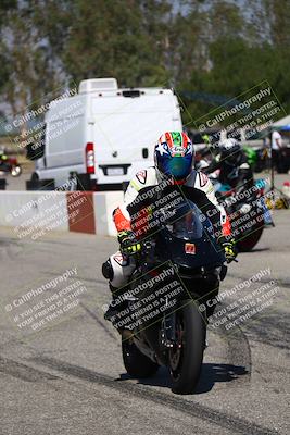 media/Aug-03-2024-TrackDaz (Sat) [[30bed884ff]]/A Group/Grid/